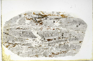 Plane Polarized, N3518