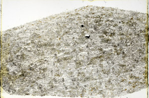 Plane Polarized, N3520