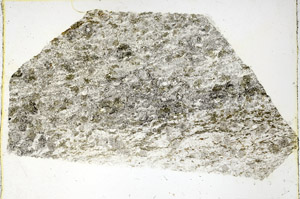 Plane Polarized, N3521