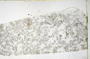 Plane Polarized, N3523