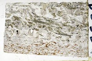 Plane Polarized, N3524