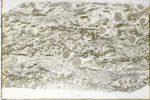 Plane Polarized, N3525