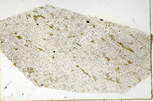 Plane Polarized, N3526