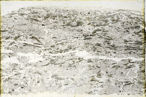 Plane Polarized, N3528