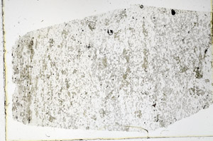 Plane Polarized, N3529