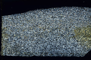Cross Polarized, N3537