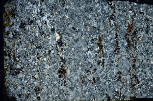 Cross Polarized, N3542