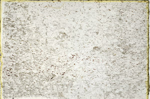 Plane Polarized, N3543