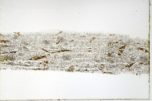 Plane Polarized, N3549