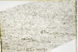 Plane Polarized, N3554