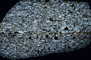 Cross Polarized, N3557