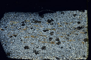 Cross Polarized, N3558