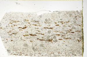 Plane Polarized, N3558