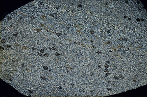 Cross Polarized, N3559