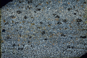 Cross Polarized, N3563