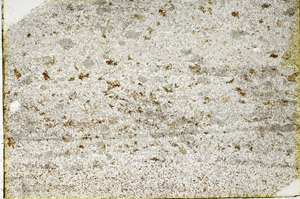 Plane Polarized, N3563