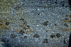 Cross Polarized, N3565