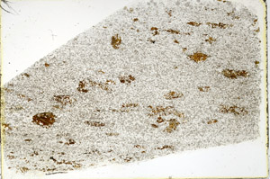 Plane Polarized, N3566