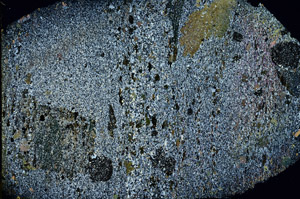 Cross Polarized, N3598