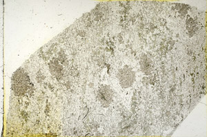 Plane Polarized, N3617
