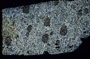 Cross Polarized, N3617/A