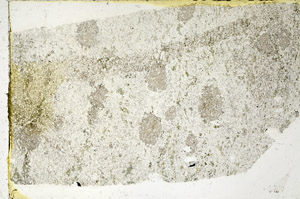 Plane Polarized, N3617/A
