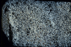 Cross Polarized, N3620/A