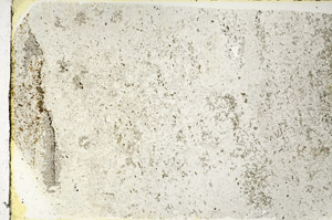 Plane Polarized, N3620/A