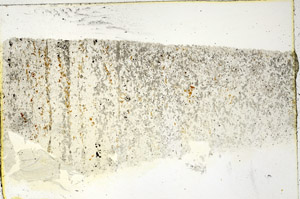 Plane Polarized, N3621
