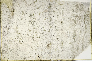 Plane Polarized, N3622