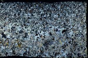 Cross Polarized, N3625
