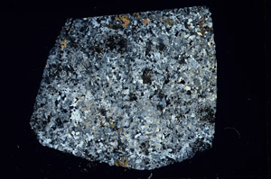 Cross Polarized, N3626