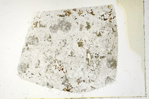 Plane Polarized, N3626