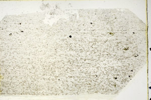 Plane Polarized, N3628