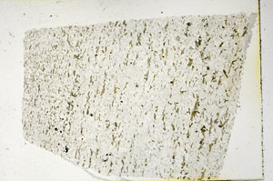 Plane Polarized, N3631