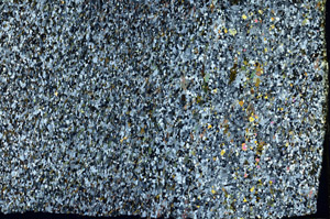 Cross Polarized, N3632