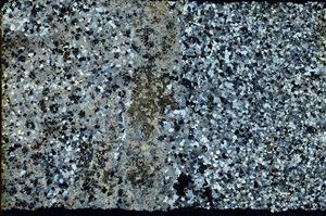 Cross Polarized, N3647