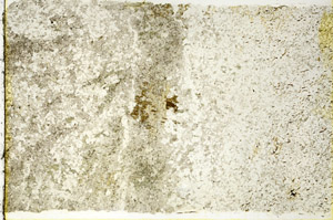 Plane Polarized, N3647