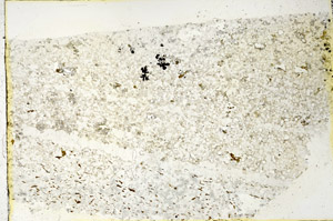 Plane Polarized, N3648