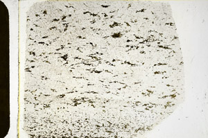 Plane Polarized, N3659
