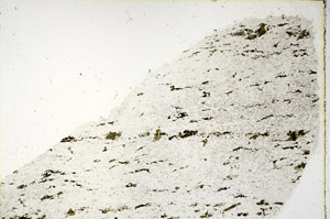 Plane Polarized, N3660