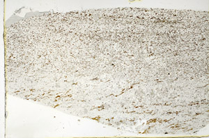 Plane Polarized, N3661