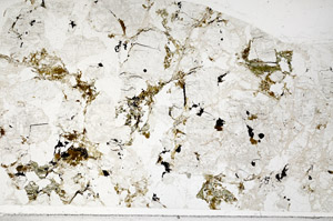 Plane Polarized, N3743