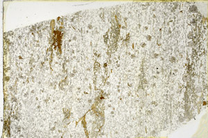 Plane Polarized, N3817