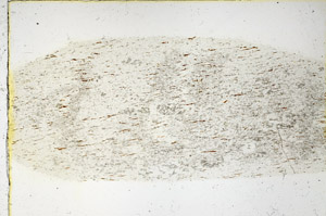 Plane Polarized, N3818
