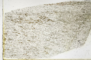 Plane Polarized, N3819