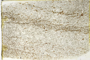 Plane Polarized, N3820