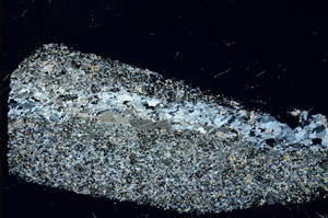 Cross Polarized, N3821