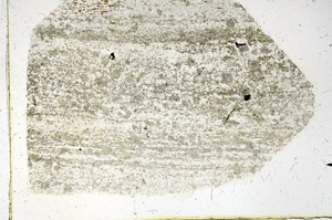 Plane Polarized, N3822