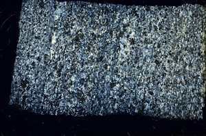 Cross Polarized, N3823
